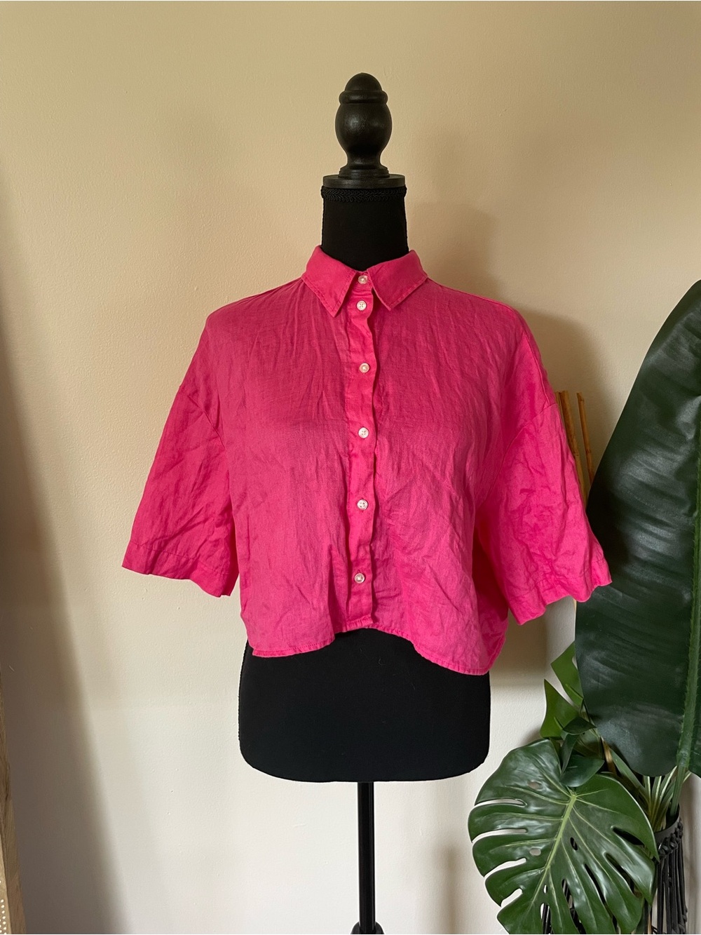 H&M Hot Pink Cropped Button-Down Shirt